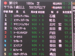 20161210 中山12R (500) ヤマニンリュウセイ 01