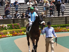 20160423 東京5R 3歳未勝利 アークアーセナル 15