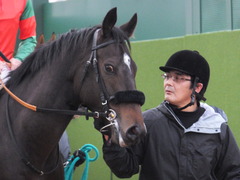 20151213 中山12R 3歳上500万下 マイネルサージュ 09