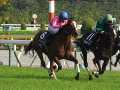 20151101 東京9R 精進湖特別 ツクバアスナロ 16