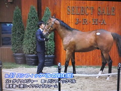 パシフィックベル2014