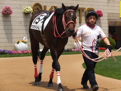 20170514 京都5R 3歳未勝利 ホウオウドリーム 15
