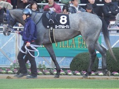 20190113 中山9R 黒竹賞(500) ロークアルルージュ 08