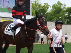 20170514 京都5R 3歳未勝利 ホウオウドリーム 20