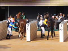 20150927 中山9R 芙蓉S プロディガルサン 20