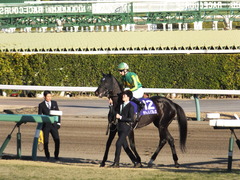 20161225 中山12R 有馬記念(G1) サトノノブレス 08
