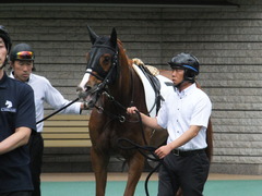 20170618 東京7R 33歳上500万下 ホウオウマリリン 04