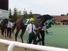20170902 札幌11R 札幌2歳S(G3) ダブルシャープ 04