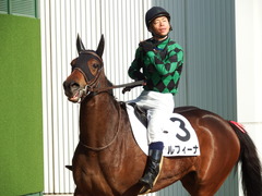 20171216 中山2R 2歳牝馬未勝利 ルフィーナ 15