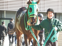 20180114 中山2R 3歳未勝利 アイコンタクト 16