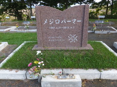 メジロパーマー