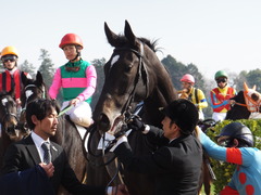 20161218 中山4R 2歳未勝利 ダンスウィズユー 21