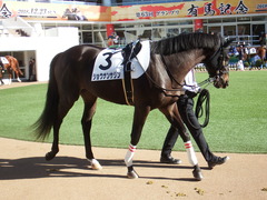 20181215 中山7R 2歳未勝利 ショウナンサジン 03
