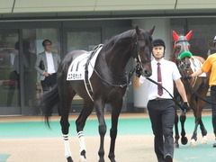 20150614 東京3R 3歳未勝利 コスモポッポ 05