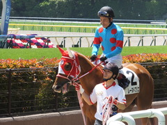 20150510 東京5R 3歳未勝利 レーヌドブリエ 14