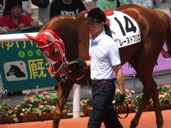 20160618 阪神8R 3歳上牝馬500万下 レーヌドブリエ 14