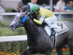 ロークアルルージュくんデビュー勝利おめでとう^^/