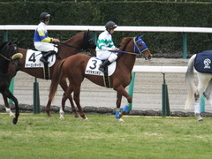 20150315 中山5R 3歳未勝利 09
