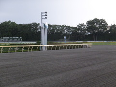 20150628 東京競馬場 08