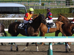 20140321 中山10R グレートチャールズ 16