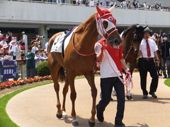 20150425 京都4R 3歳未勝利 レーヌドブリエ 04