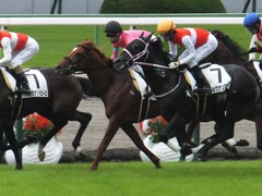 20171014 京都3R 2歳未勝利 ハルキスター 21
