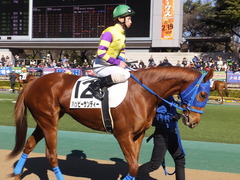 20170219 東京1R 3歳未勝利 ハッピーサンディー 16