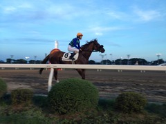 20140815 大井6R ライトハーティド 04