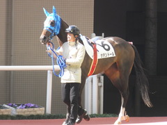 20170225 阪神4R 3歳未勝利 サテンドール 03