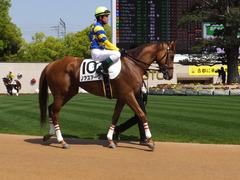 20150425 京都1R 3歳未勝利 ノアズアーク 10