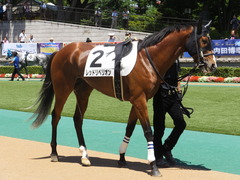 20140614 東京3R レッドリベリオン 07