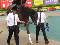 20140525 東京12R 丹沢S ユーロビート 06