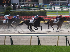 20150426 東京1R 3歳未勝利 ジュンコアー 13