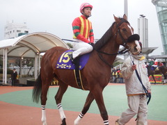 20190206 大井11R 金盃(S2) ユーロビート 24