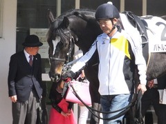 20170226 中山6R 3歳未勝利 バトルオスカー 03