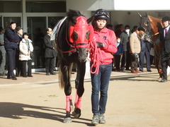 20190114 中山8R 4歳上(500) ノーザンクリス 02