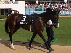 20150921 中山9R 白井特別 ロジダーリング 08