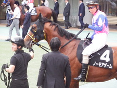 20180506 東京12R 立川特別(1000) ノーモアゲーム 13