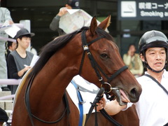 20171014 京都3R 2歳未勝利 メイショウカラタチ 05