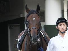 20150919 中山10R 松戸特別 ヴィルトグラーフ 07