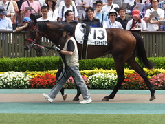 20160612 東京8R 3歳上500万下 トーセンカナロア 07