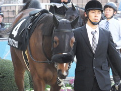 20140118 中山競馬場 ツクバアスナロ 06