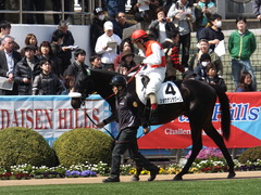 20140316 中山6R ショウナンラグーン 12