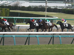 20150315 中山2R 3歳未勝利 コスモポッポ 12
