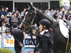 20160410 中山4R 3歳未勝利 ツボミ 12