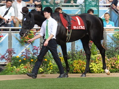 20160925 中山11R オールカマー(G2) サトノノブレス 07