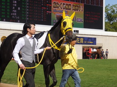 20151025 京都4R 2歳メイクデビュー ブリリョドソル 03