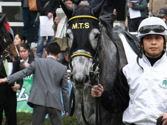 20150315 中山5R 3歳未勝利 グローリアスレイ 07