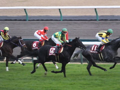 20141206 中京11R 金鯱賞(G2) サトノノブレス 15