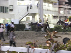 20160518 大井11R 大井記念(S2) グランディオーソ 14